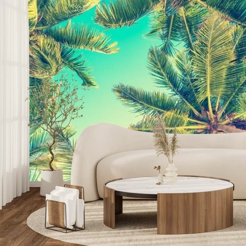 Papier peint  Couronnes de palmiers sous un ciel turquoise