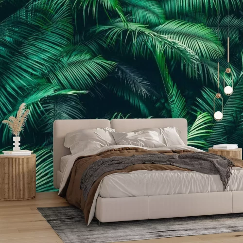 Papier peint  Nature background of green forest, tropical forest in green filter