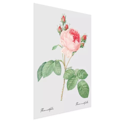 Visualisation du produit