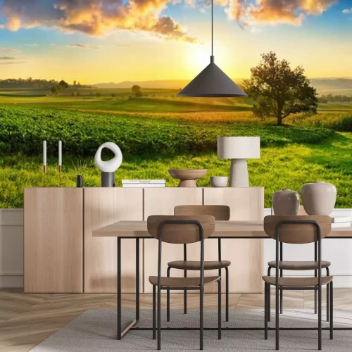 Papier peint  Prairie au coucher du soleil