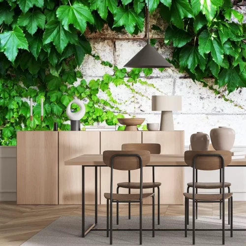 Papier peint  Plantes poussant sur le mur