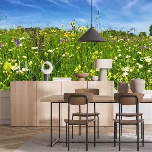 Papier peint  Prairie avec des fleurs colorées
