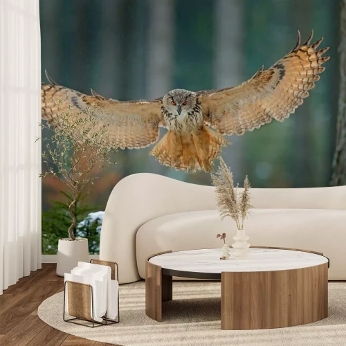 Papier peint  Eagle owl landing on snowy tree stump in forest. Flying Eagle owl with open wings in habitat with trees, bird fly. Action winter scene from nature, wildlige. Owl, big wingspan. Autumn snow forest.