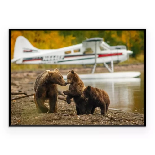 Visualisation du produit