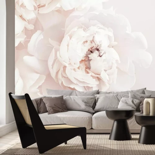 Papier peint  Fleurs de Pivoines en Couleur Pastel