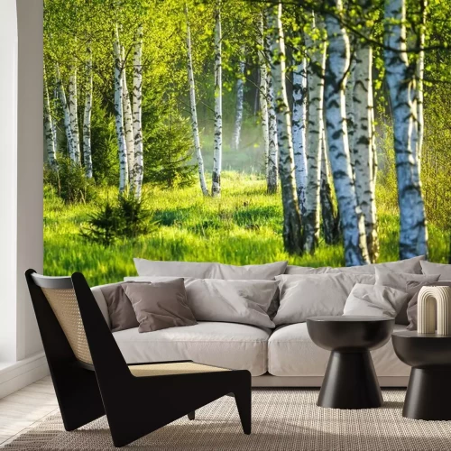 Papier peint  Spring green foliage