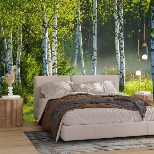 Papier peint  Spring in the birch grove