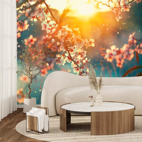 Papier peint  Fleurs de cerisier printanières avec des rayons de soleil