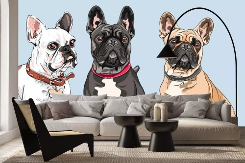 Visualisation du produit