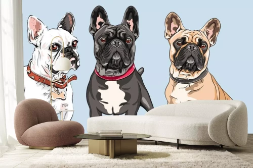 Visualisation du produit