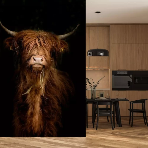 Papier peint  Animal sur fond noir