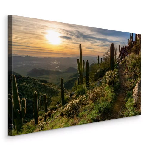 Tableau  Végétation dans un paysage désertique au lever du soleil