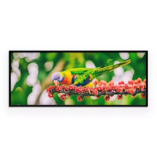 Visualisation du produit