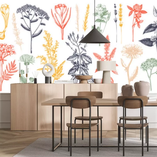 Papier peint  Composition colorée de plantes et d'herbes des champs sur fond blanc