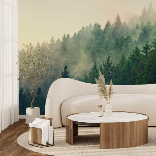 Papier peint  Paysage de pente de montagne brumeuse