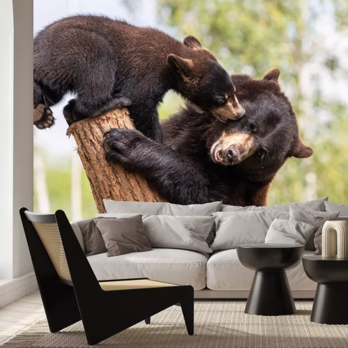 Papier peint  Des ours sur un tronc d'arbre