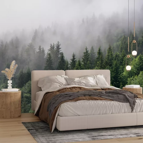 Papier peint  Forêt d'épicéas de montagne verdoyante enveloppée de brouillard matinal