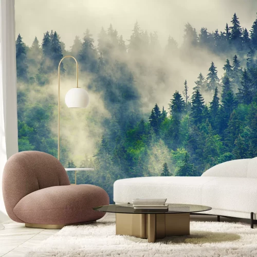 Papier peint  Paysage de forêt de conifères en montagne brumeuse