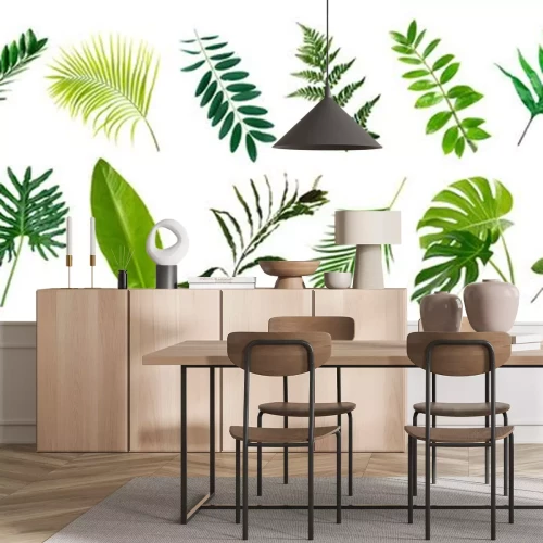 Sticker  set of green monstera palm banana and tropical plant leaf on white background for design elements, Flat layd.clipping path