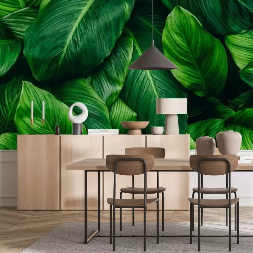 Sticker  abstract green leaf texture, nature background, tropical leaf 