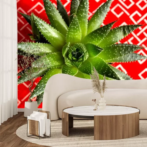 Sticker  Aloe aristata succulent plant