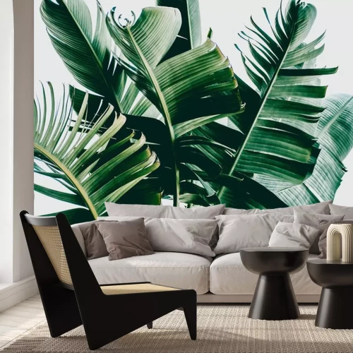 Sticker  Feuilles de palmier vert foncé sur fond blanc
