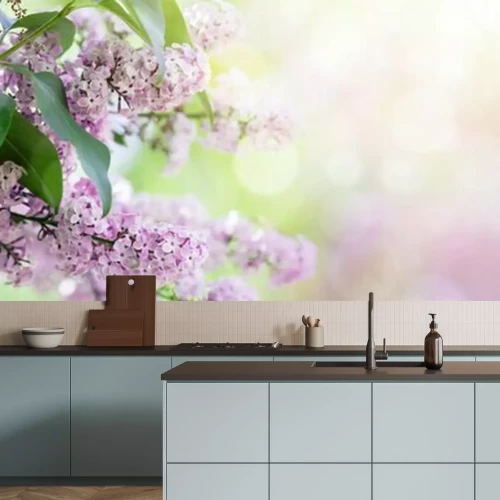 Papier peint  Un lilas en fleurs violettes sur fond flou