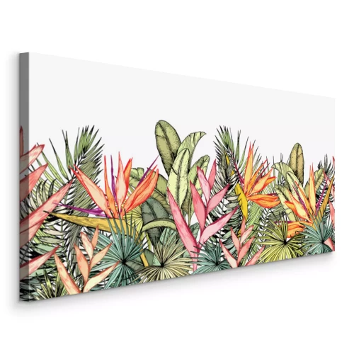 Tableau  Plantes et feuilles tropicales colorées sur fond blanc