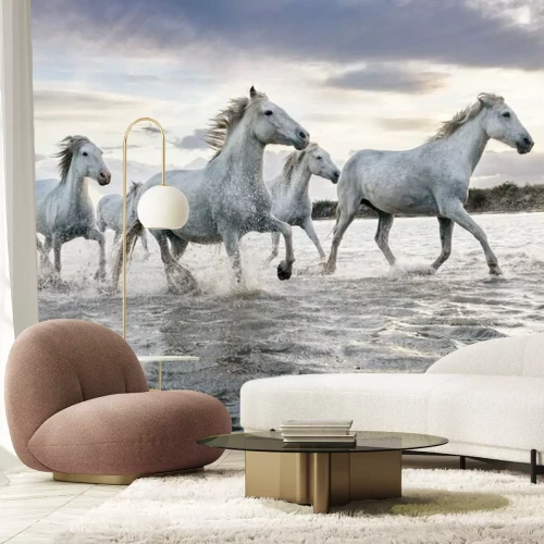 Papier peint  Un troupeau de chevaux blancs courant dans l'eau