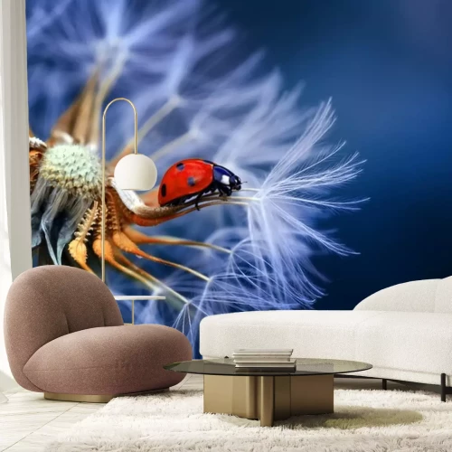 Sticker  Coccinelle avec des pissenlits en arrière-plan