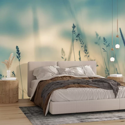 Papier peint  Wild grass in the forest at sunset. Macro image, shallow depth of field. Abstract summer nature background. Vintage filter