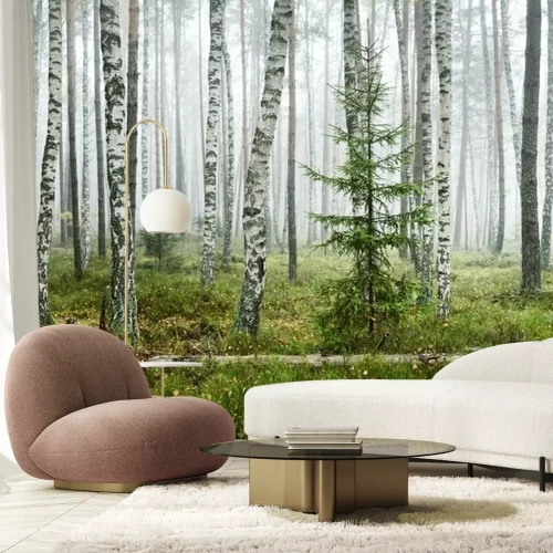 Papier peint  Dark atmospheric landscape of the evergreen forest in a fog at sunrise. Pine, spruce, maple, birch trees and colorful plants close-up. Ecology, autumn, ecotourism, environmental conservation in Europe