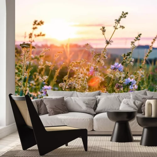 Papier peint  Prairie avec des fleurs au coucher du soleil