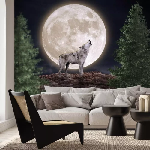 Papier peint  Loup et pleine lune