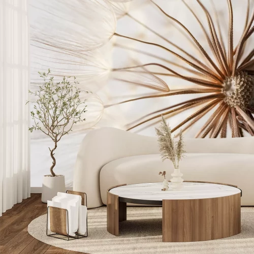 Papier peint  Graines de pissenlit en gros plan macro, motif botanique naturel