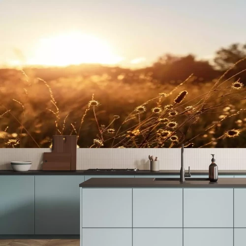 Papier peint  Paysage de prairie d’automne au coucher du soleil