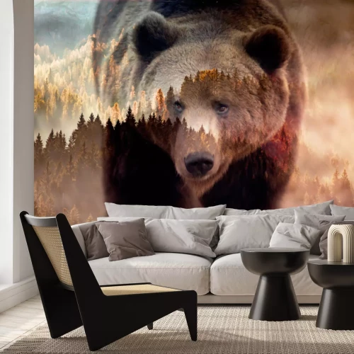 Papier peint  Ours brun et paysage forestier