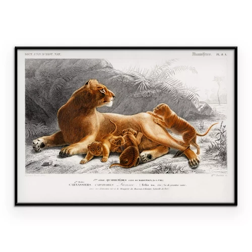 Visualisation du produit