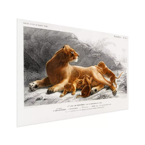 Visualisation du produit