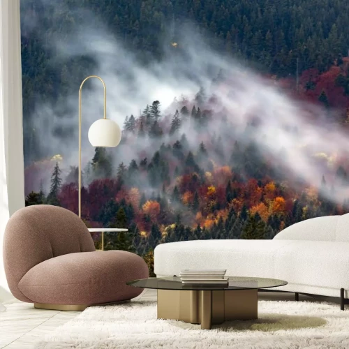 Papier peint  Forêt de conifères dans le brouillard, paysage d'automne