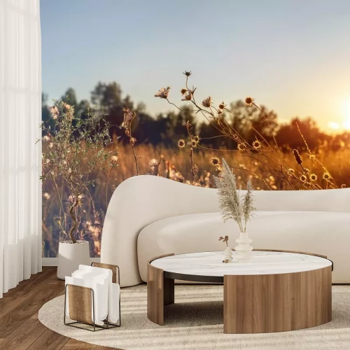 Papier peint  Abstract warm landscape of dry wildflower and grass meadow on warm golden hour sunset or sunrise time. Tranquil autumn fall nature field background. Soft golden hour sunlight at countryside