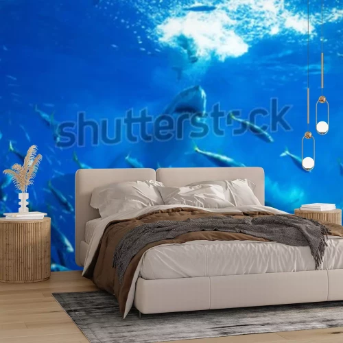 Papier peint  Requin chassant un banc de poissons