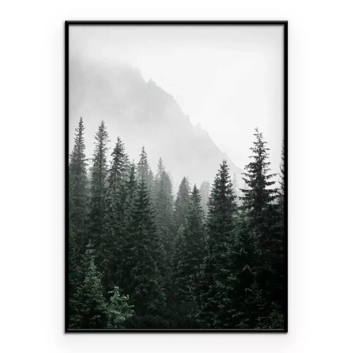 Poster  Une forêt de montagne mystique enveloppée d'un épais brouillard