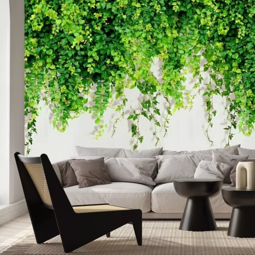 Papier peint  Plantes grimpantes vertes 3D sur fond blanc