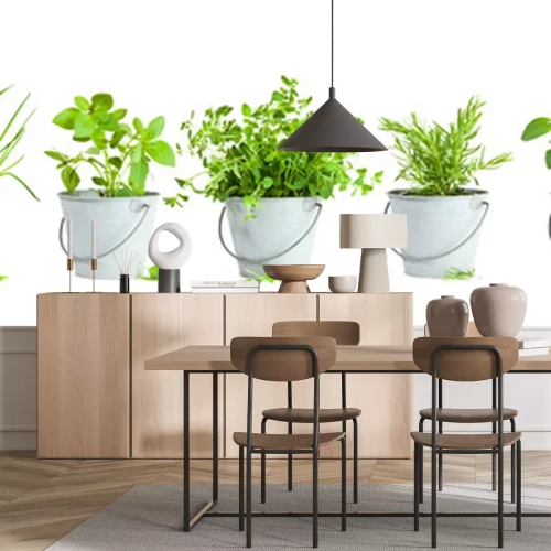 Papier peint  Plantes vertes et herbes en pots