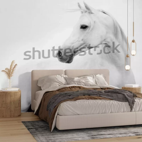 Papier peint  Arab horse in high key