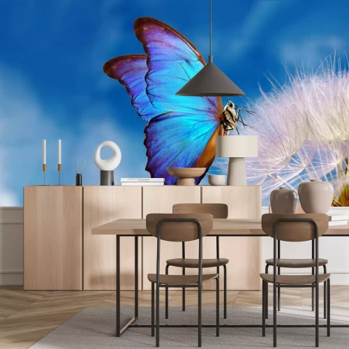 Papier peint  Papillon Morpho bleu sur un pissenlit