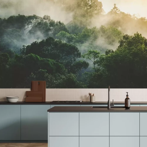 Papier peint  Tropical rainforest landscape, forest scenic with jungle tree in green nature, beautiful wild wood foliage plant over the mountain, leaf with rain water, environment park background for travel