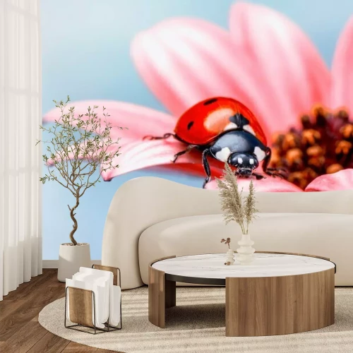 Sticker  Coccinelle rouge sur une fleur rose