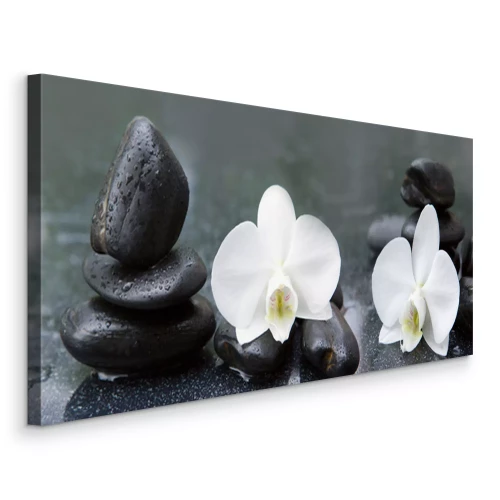 Tableau  Fleurs d'orchidées blanches et pierres avec des gouttes d'eau